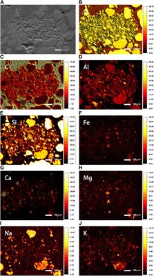 Long-term effects of soft rock amendment on changes of soil aggregate cementing agents of sandy soil by SEM-EDS